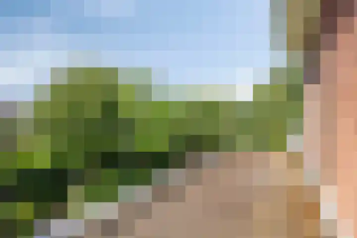 Platteweg 4 Reeuwijk thumbnail 30