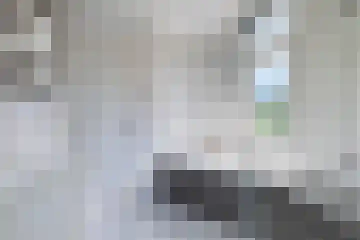 Platteweg 4 Reeuwijk thumbnail 32