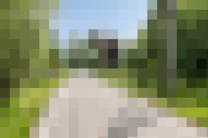 Platteweg 4 Reeuwijk thumbnail 43
