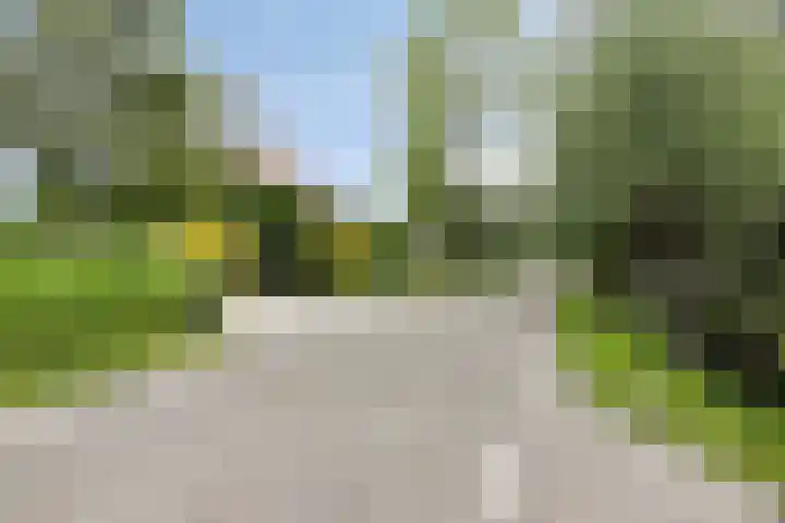 Platteweg 4 Reeuwijk thumbnail 44