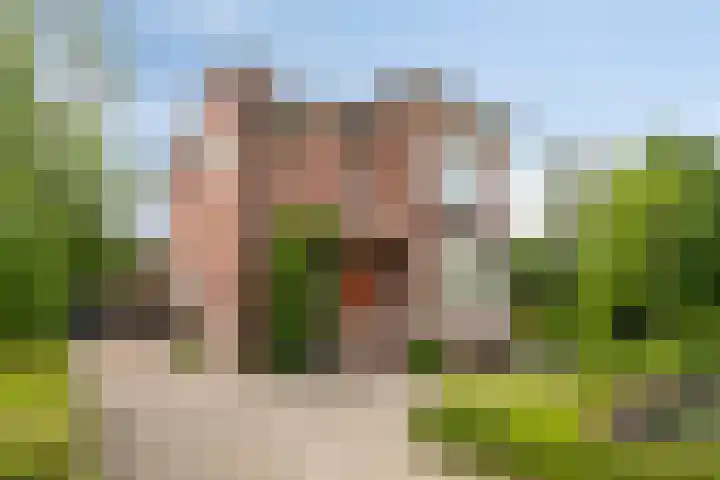 Platteweg 4 Reeuwijk thumbnail 50