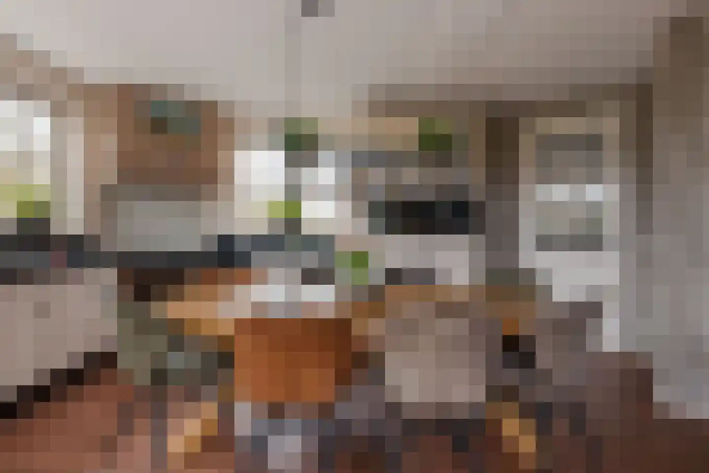 Platteweg 40 Reeuwijk thumbnail 16