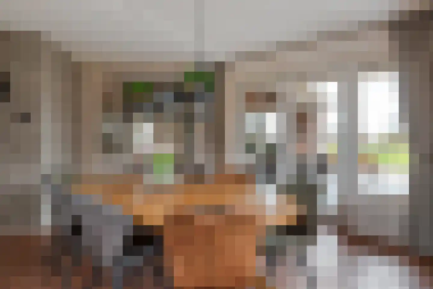 Platteweg 40 Reeuwijk thumbnail 18
