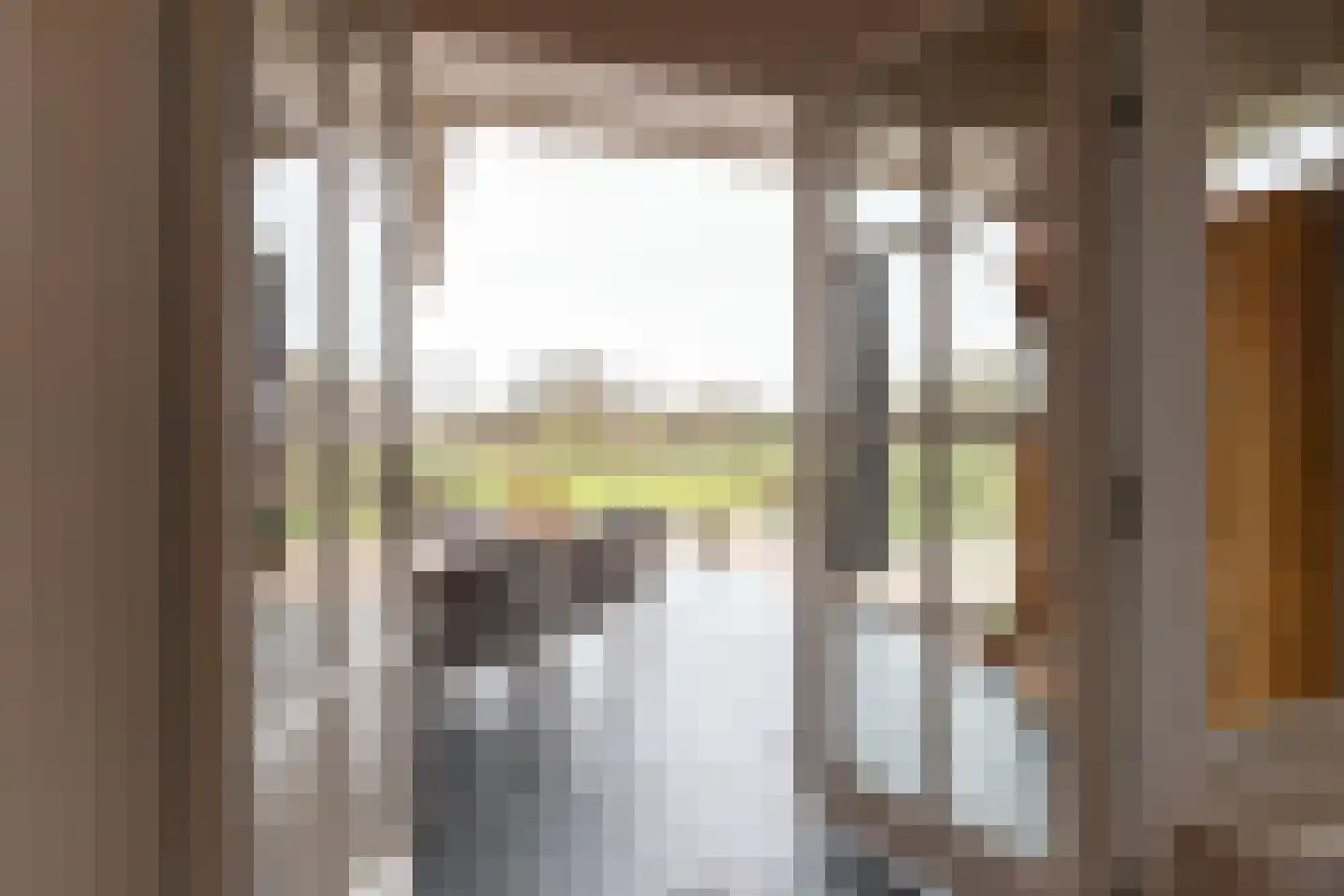 Platteweg 40 Reeuwijk thumbnail 21
