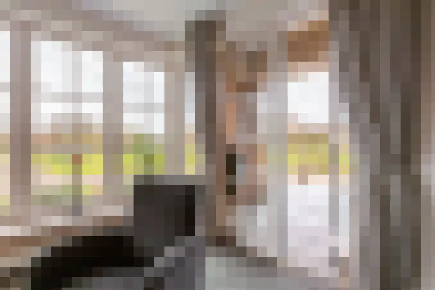 Platteweg 40 Reeuwijk thumbnail 28