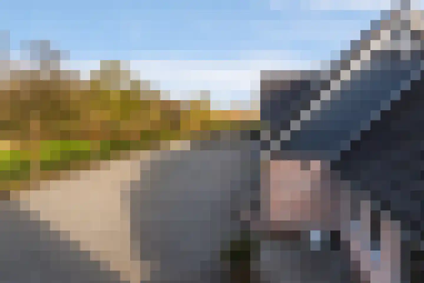 Platteweg 40 Reeuwijk thumbnail 41
