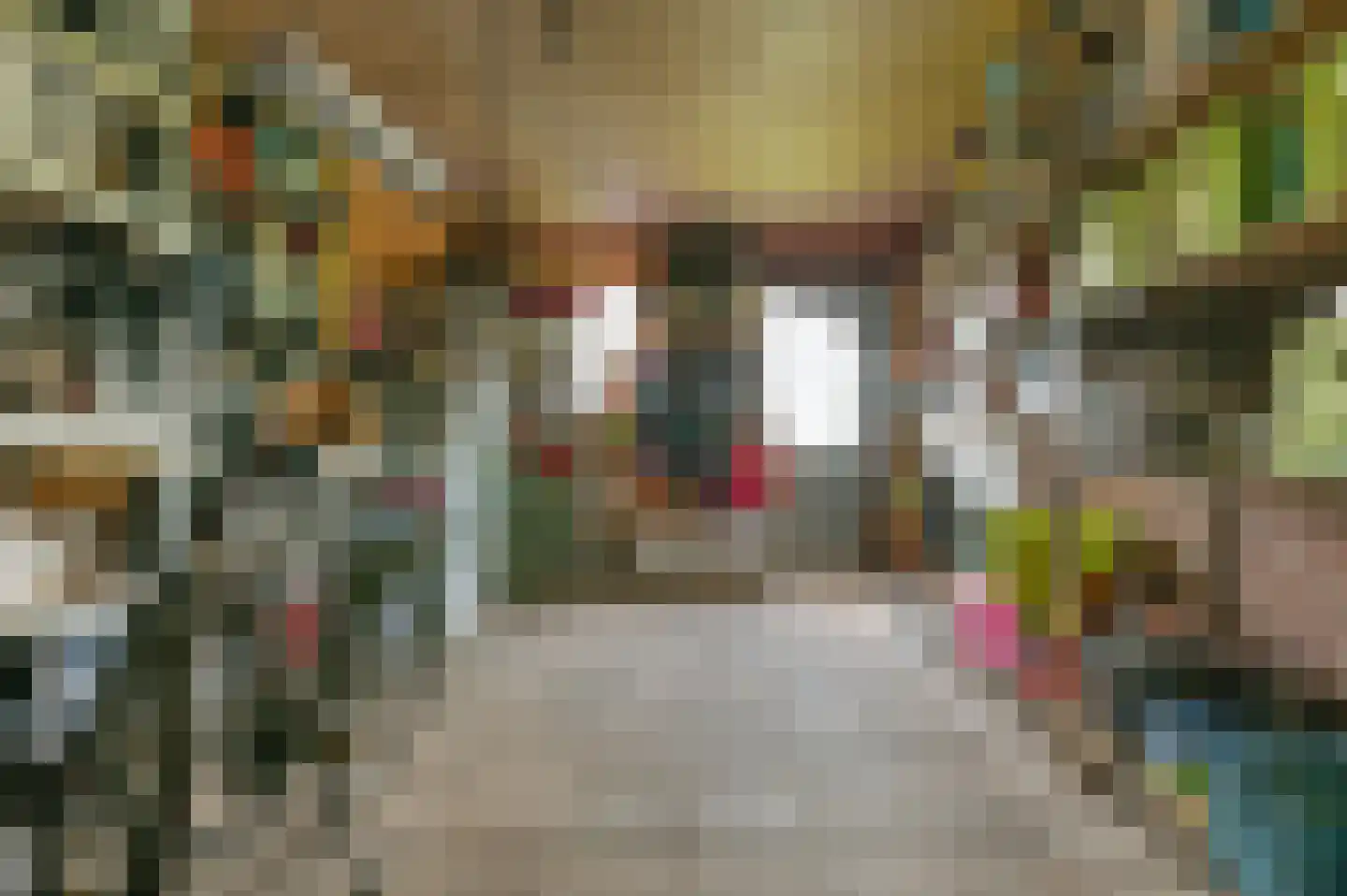 Platteweg 45 Oldemarkt thumbnail 44