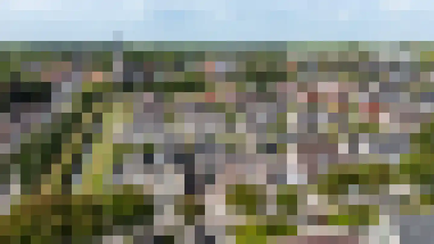 Platteweg 45 Oldemarkt thumbnail 57