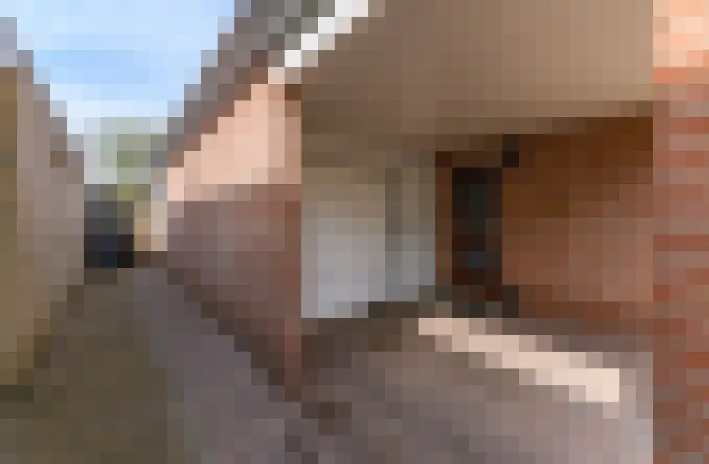 Platteweg 45 Oldemarkt thumbnail 6