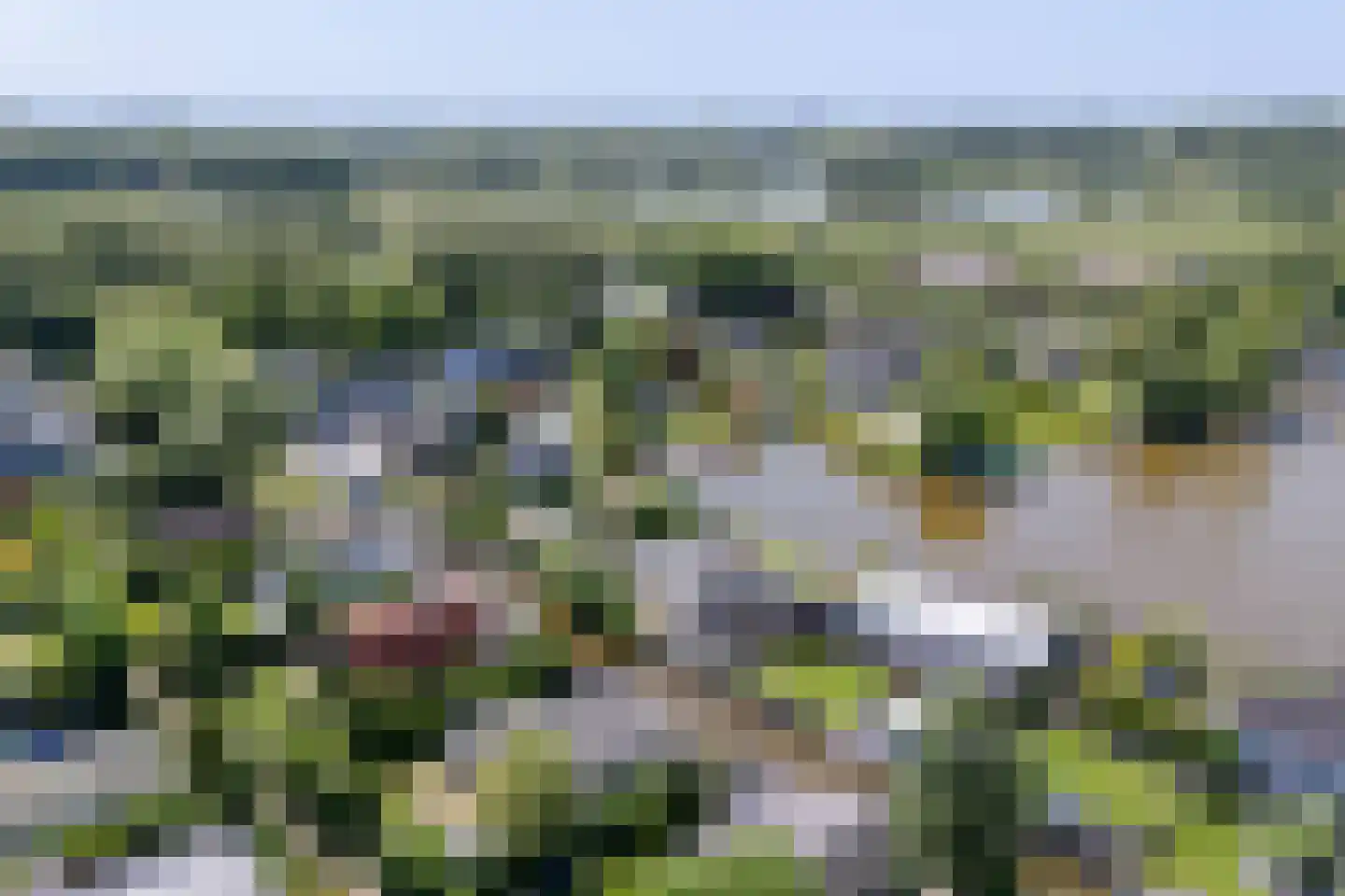 Platteweg 81 5 Reeuwijk thumbnail 54