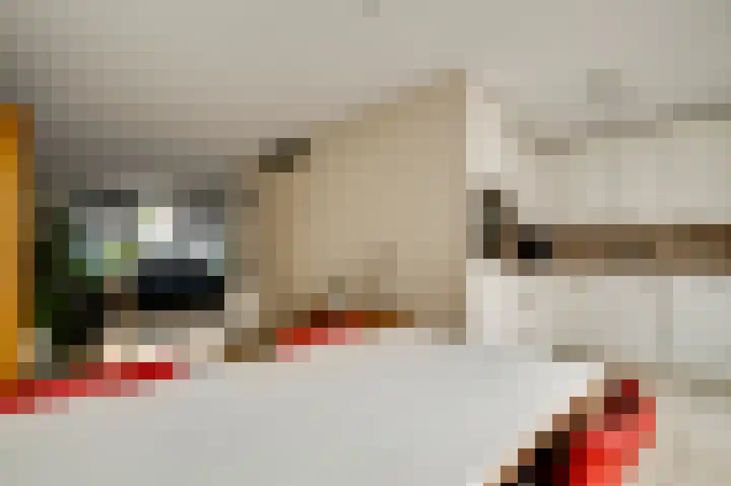 Plautuspad 3 Sittard thumbnail 10
