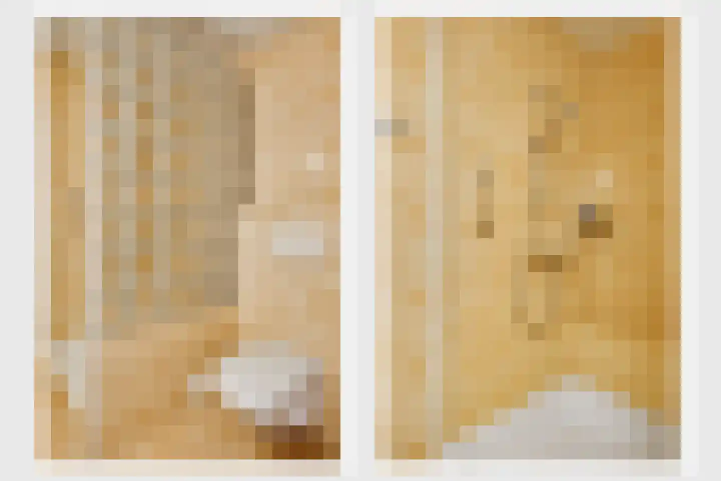 Plautuspad 3 Sittard thumbnail 16