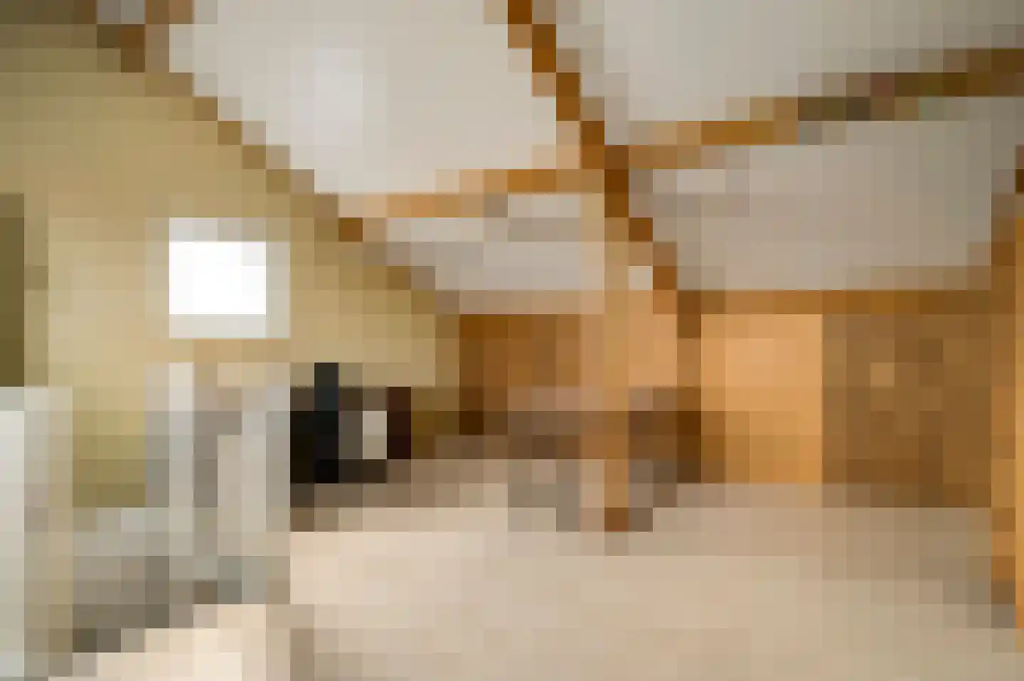 Plautuspad 3 Sittard thumbnail 18