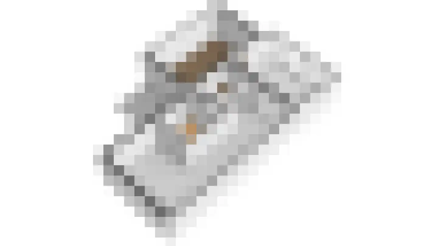 Plautuspad 3 Sittard thumbnail 28