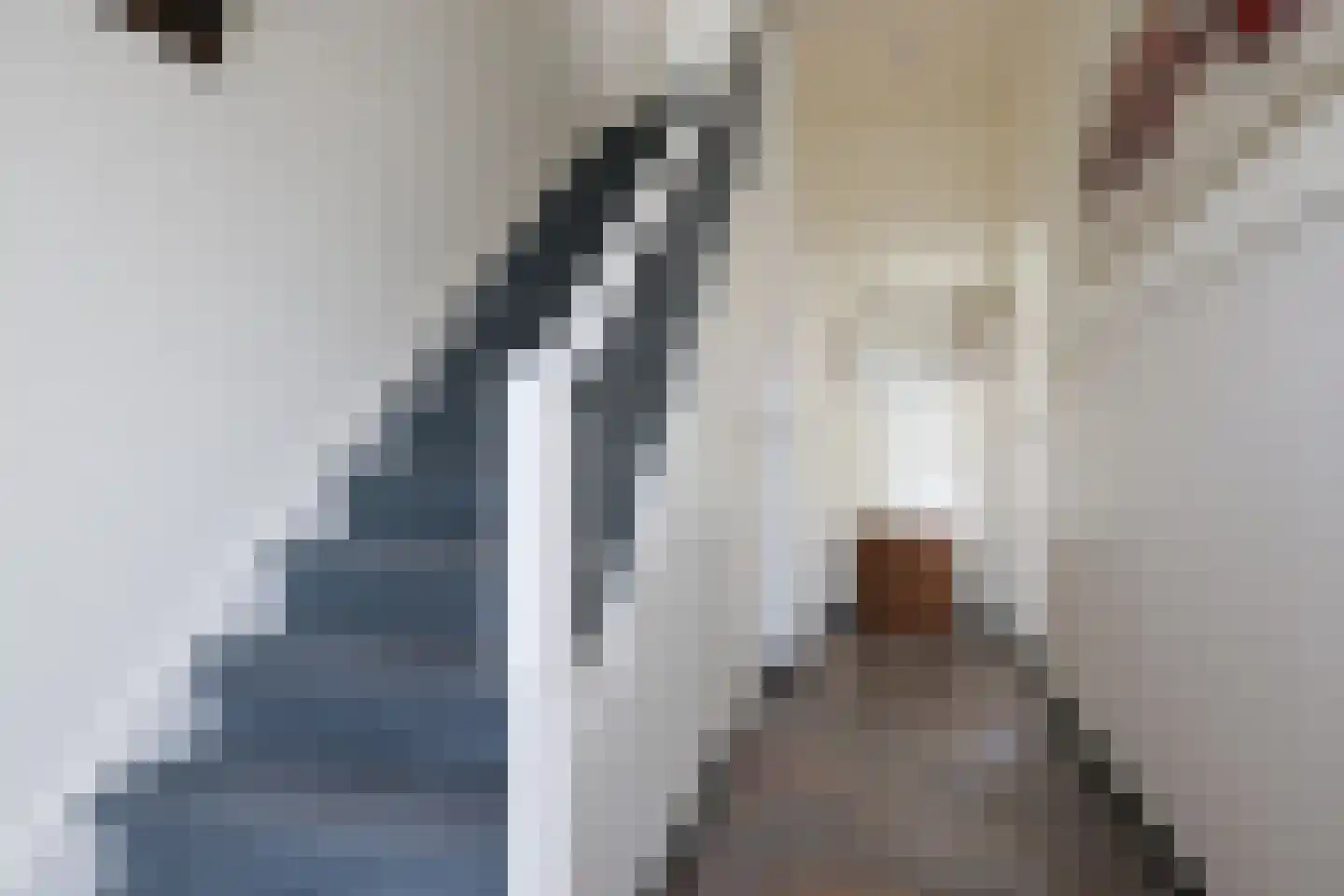 Plautusstraat 10 Heerlen thumbnail 6