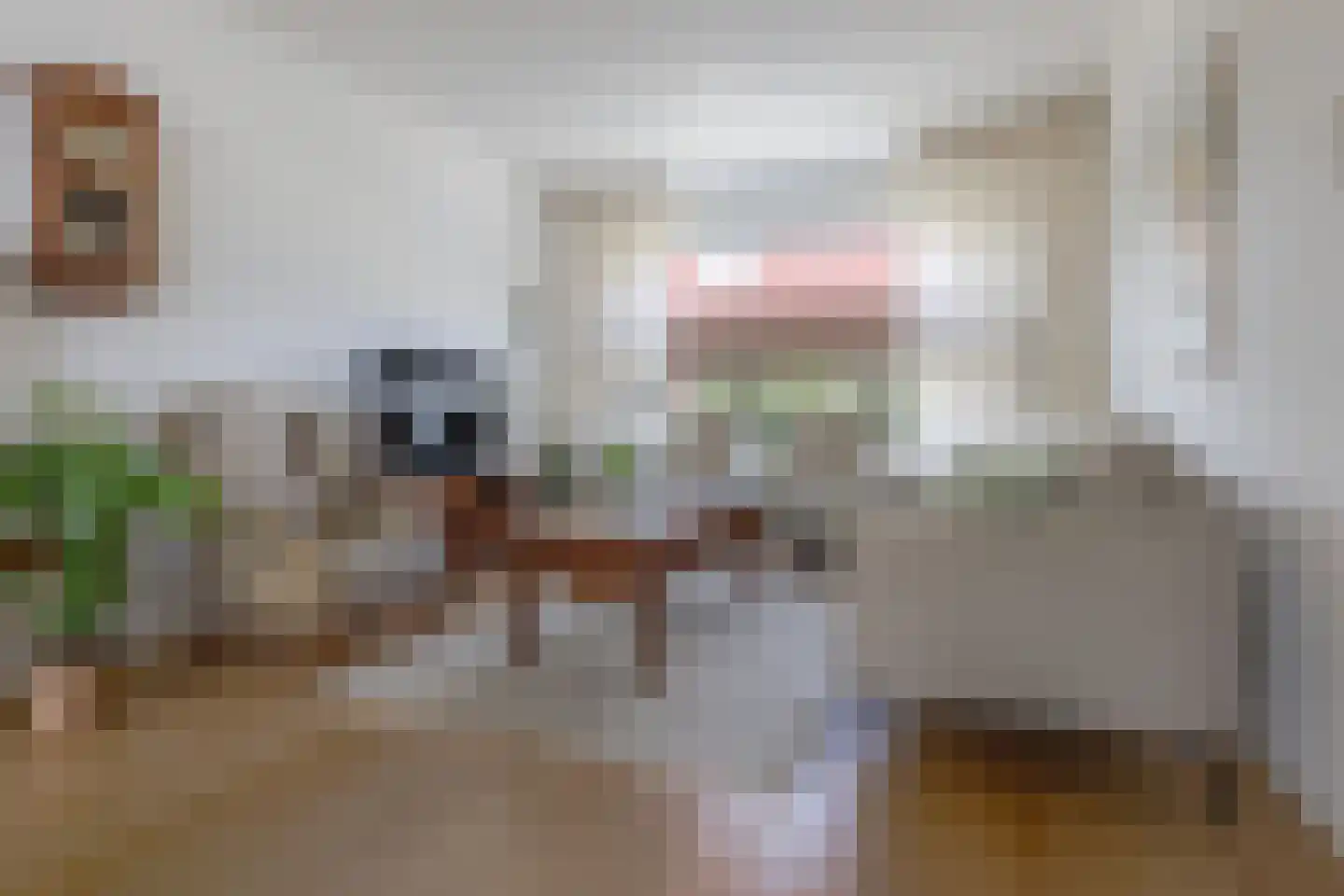 Plautusstraat 10 Heerlen thumbnail 8