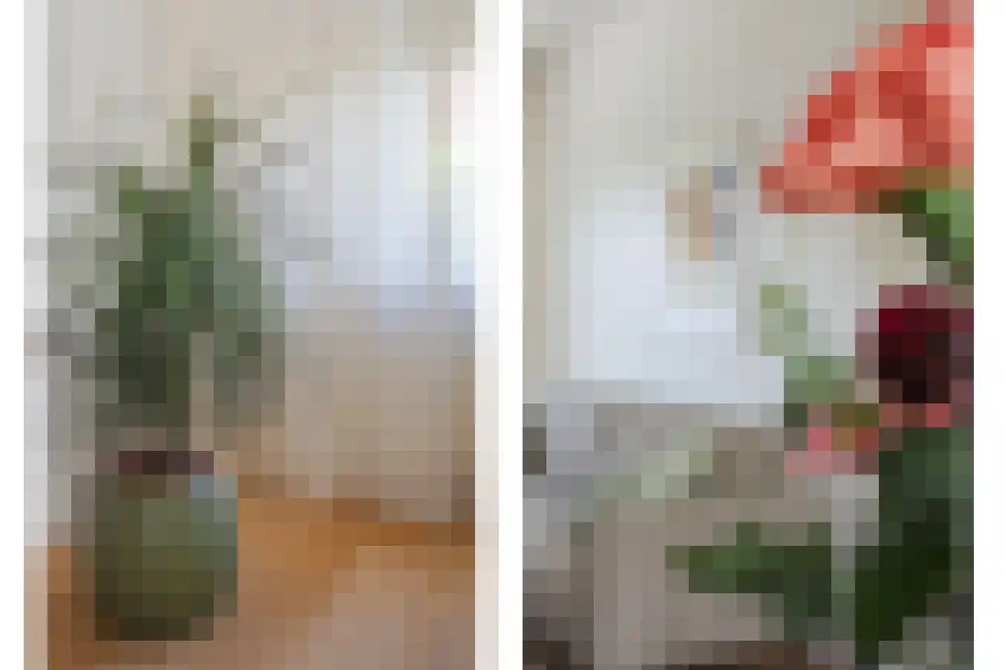 Plautusstraat 10 Heerlen thumbnail 9