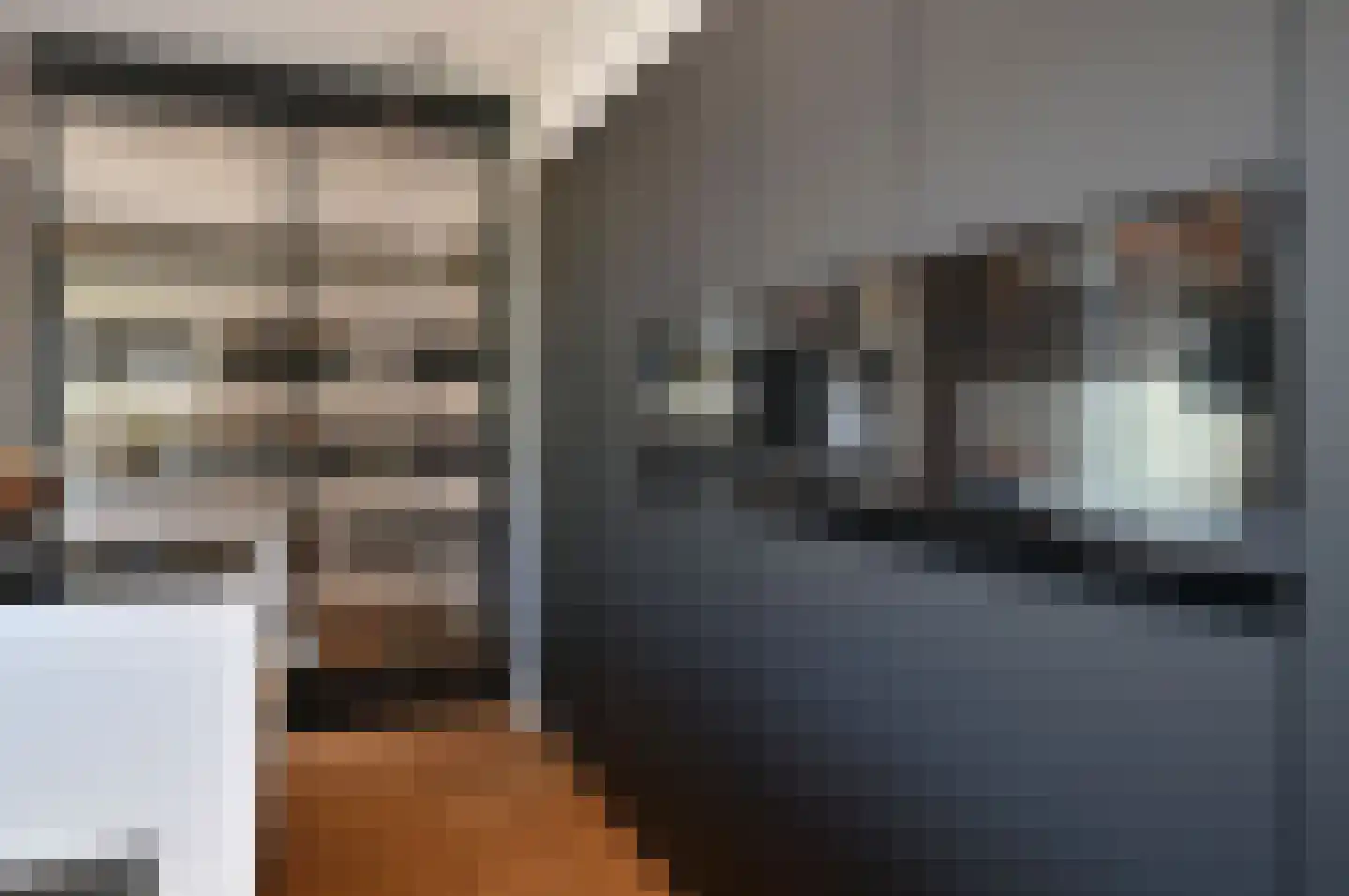 Plaveensehof 2 Huizen thumbnail 13