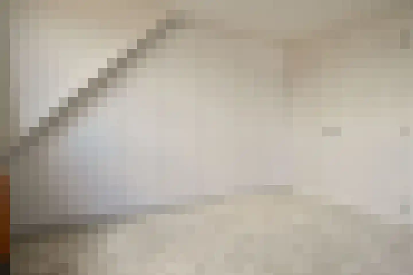 Plaveensehof 2 Huizen thumbnail 20