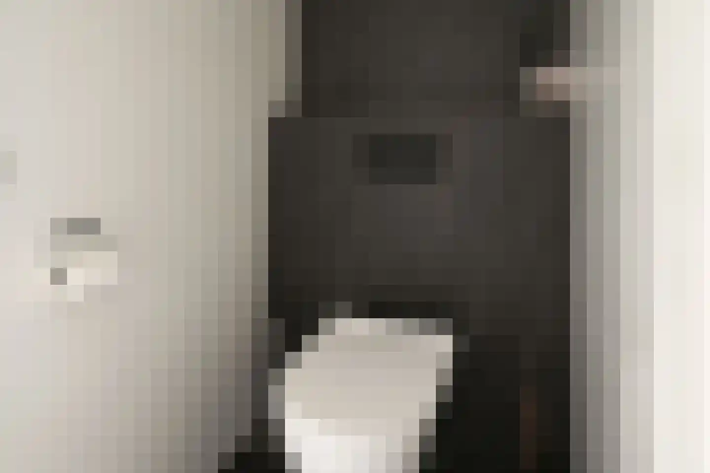 Plaveensehof 2 Huizen thumbnail 25