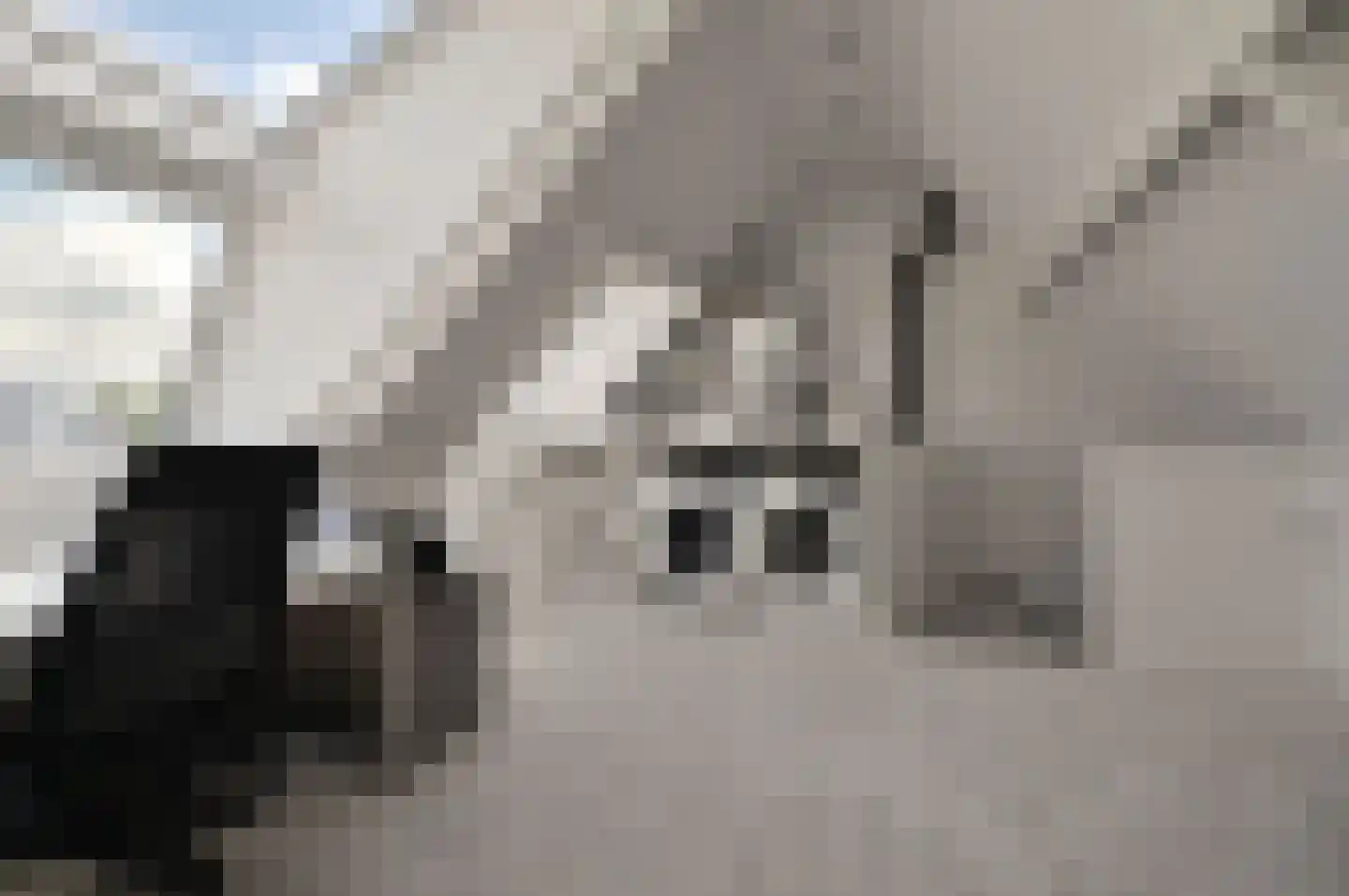 Plaveensehof 2 Huizen thumbnail 28