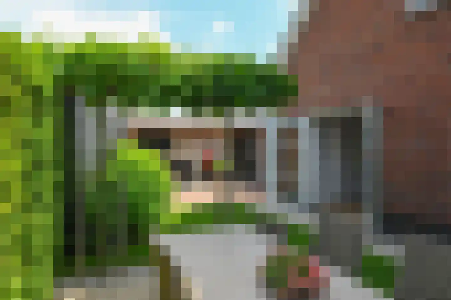 Plaveensehof 2 Huizen thumbnail 34