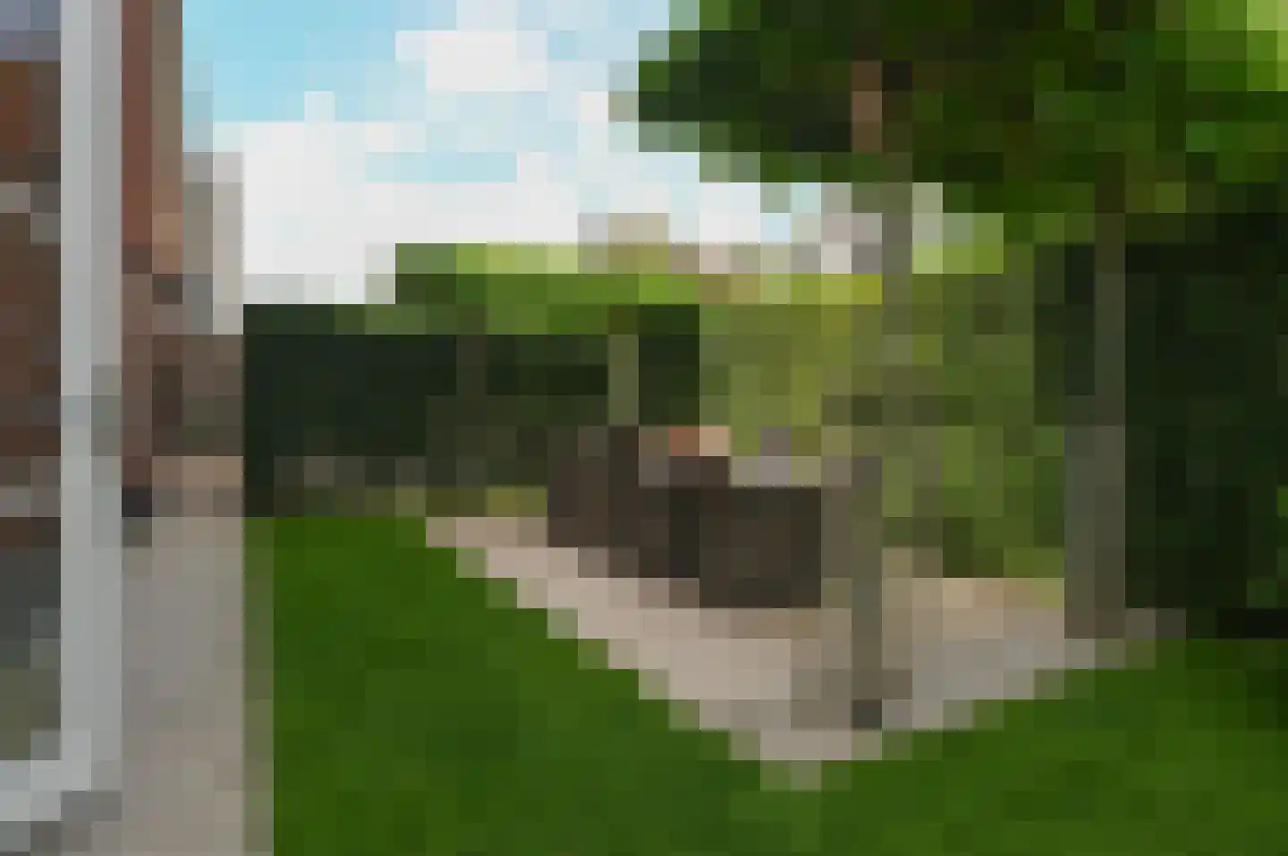 Plaveensehof 2 Huizen thumbnail 35