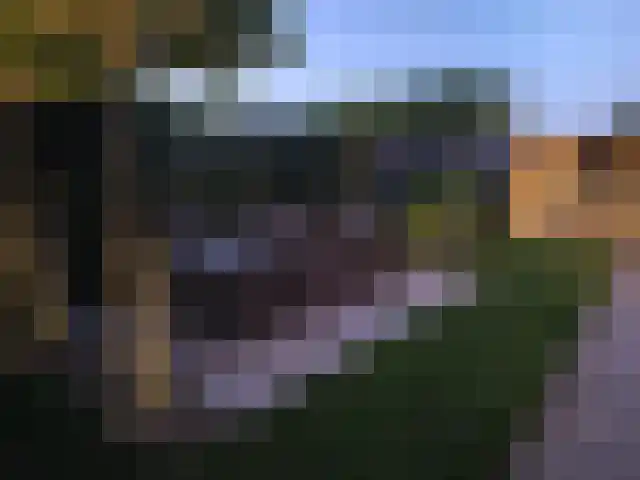 Plaveensehof 2 Huizen thumbnail 41