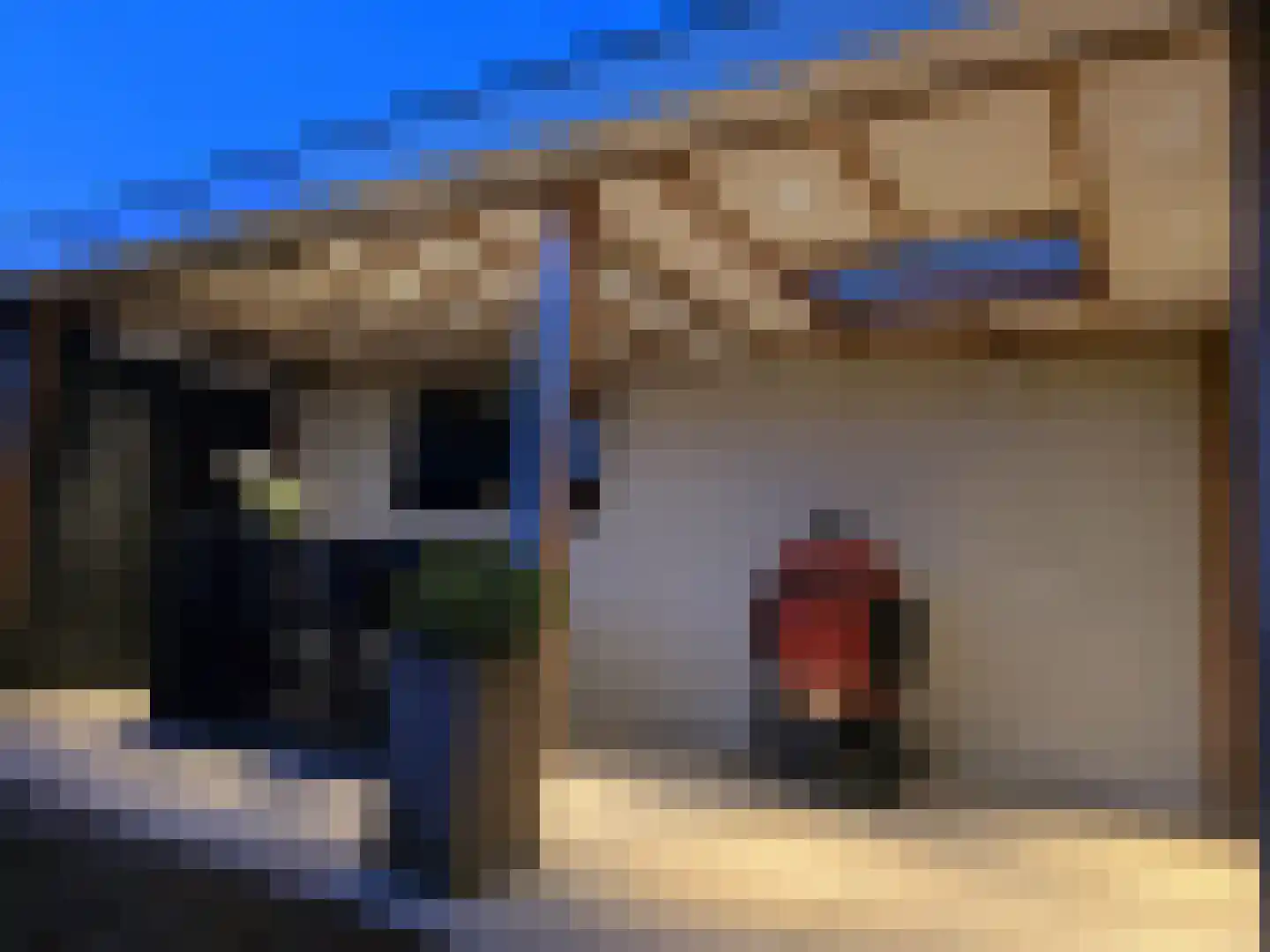 Plaveensehof 2 Huizen thumbnail 43