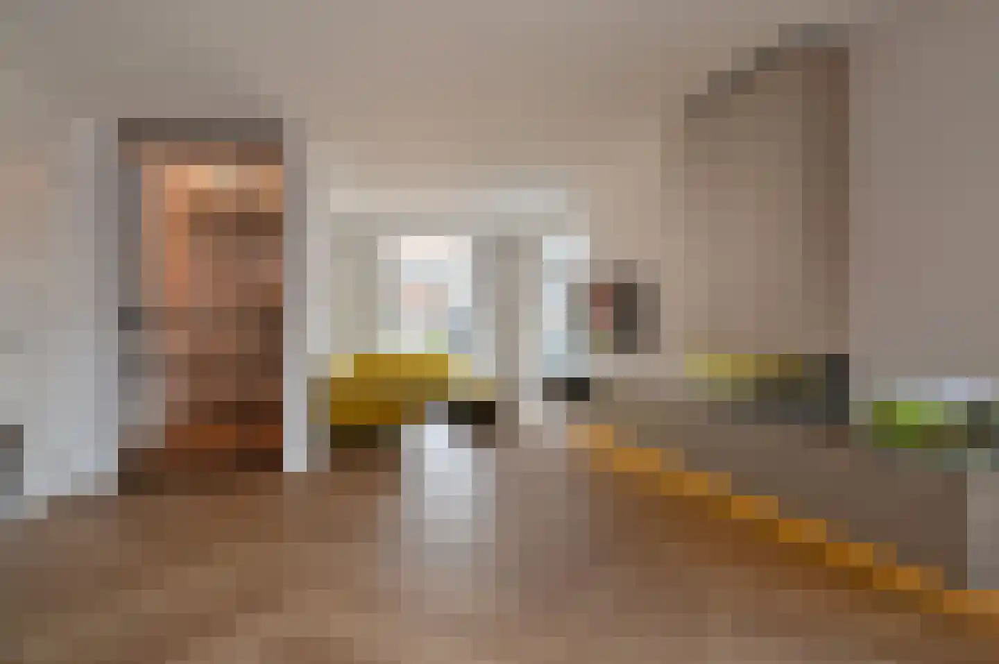 Plaveensehof 2 Huizen thumbnail 5