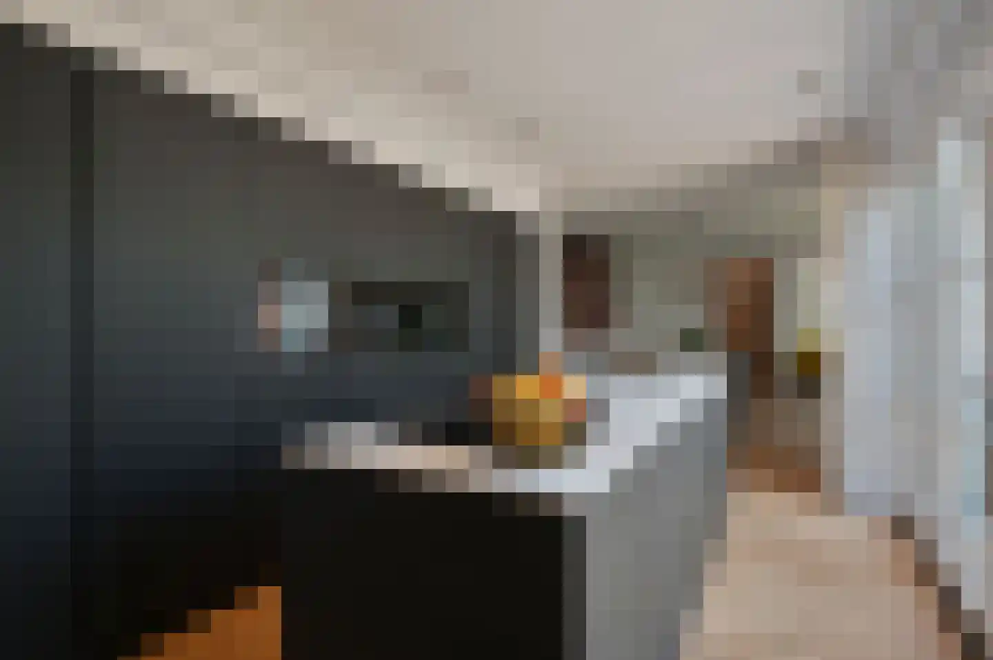 Plaveensehof 2 Huizen thumbnail 9