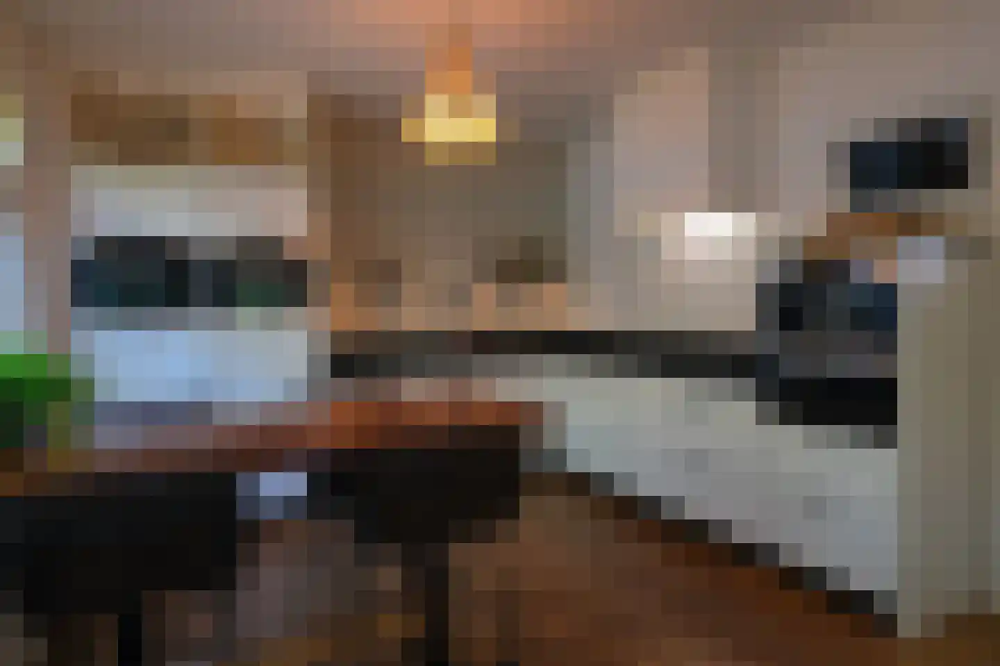 Plaveenseweg 32 Huizen thumbnail 38