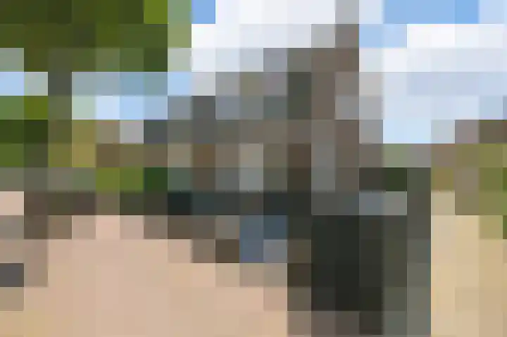 Plaveenseweg 44 Huizen thumbnail 4