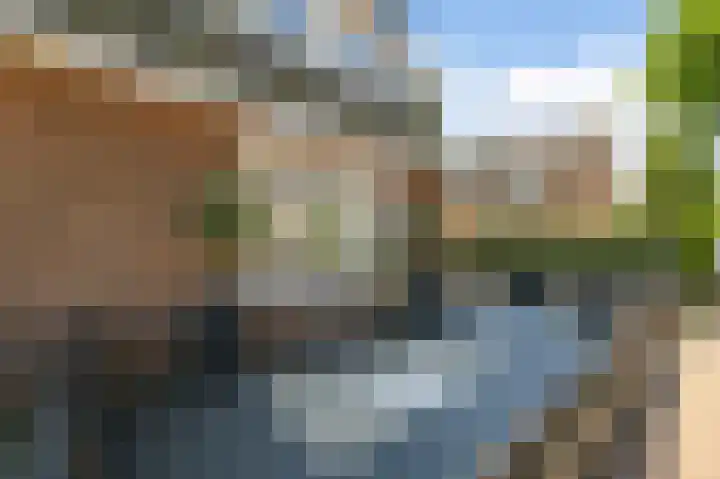 Plaveenseweg 44 Huizen thumbnail 5
