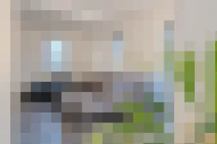 Plaveistoker 5 Deurne thumbnail 11
