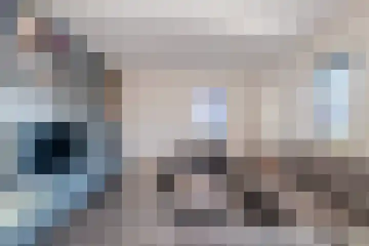 Plaveistoker 5 Deurne thumbnail 14