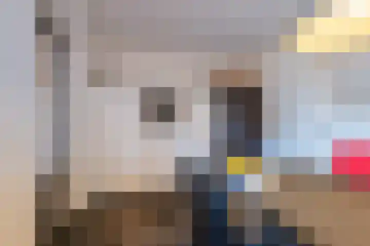 Plaveistoker 5 Deurne thumbnail 24