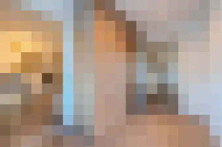 Plaveistoker 5 Deurne thumbnail 26