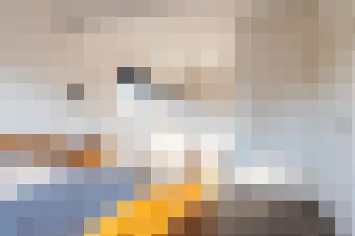 Plaveistoker 5 Deurne thumbnail 31