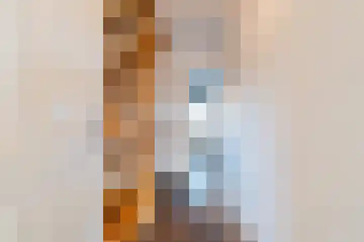 Plaveistoker 5 Deurne thumbnail 37