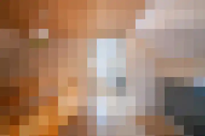 Plaveistoker 5 Deurne thumbnail 41