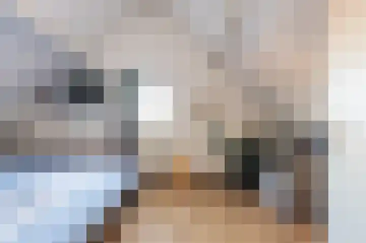 Plaveistoker 5 Deurne thumbnail 42