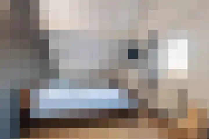 Plaveistoker 5 Deurne thumbnail 43