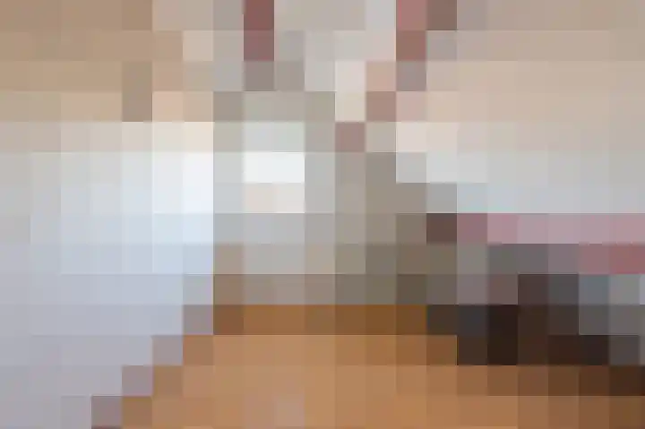 Plaveistoker 5 Deurne thumbnail 44