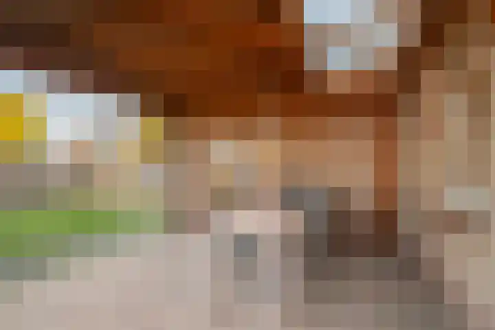 Plaveistoker 5 Deurne thumbnail 47