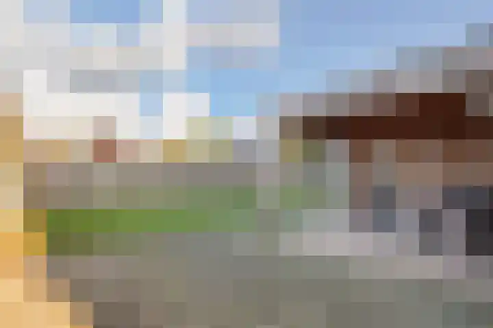 Plaveistoker 5 Deurne thumbnail 49