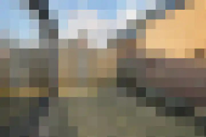 Plaveistoker 5 Deurne thumbnail 54