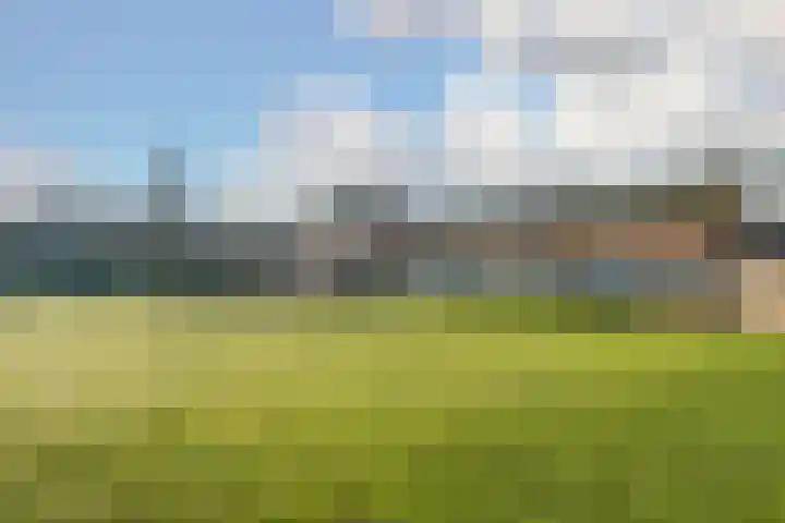 Plaveistoker 5 Deurne thumbnail 55