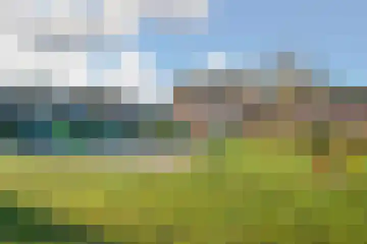 Plaveistoker 5 Deurne thumbnail 56
