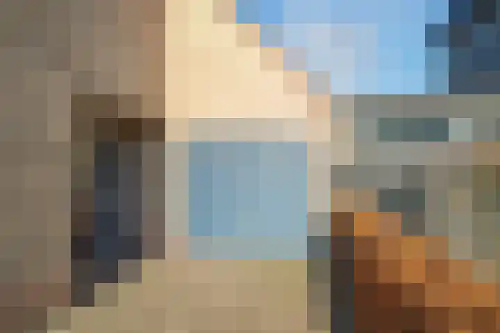 Plaveistoker 5 Deurne thumbnail 6